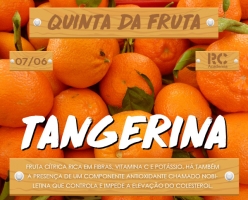 Quinta da Fruta - Tangerina